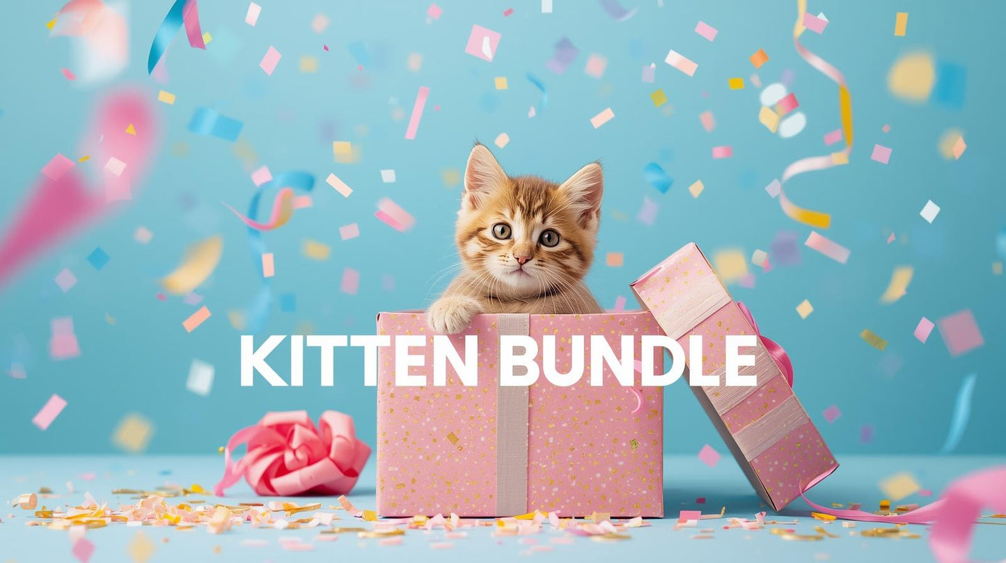 REDCAT'S "KITTEN" MYSTERY BUNDLE - A Selection of Stationary & Accessory Items