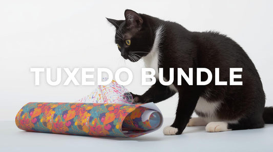 REDCAT'S "TUXEDO" MYSTERY BUNDLE - A Selection of Stationary & Accessory Items
