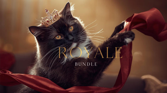 REDCAT'S "ROYALE" MYSTERY BUNDLE - A Selection of Stationary & Accessory Items