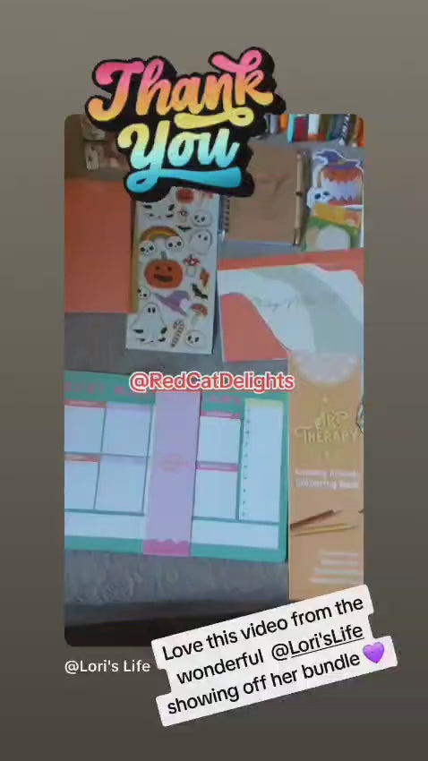 REDCAT'S "ROYALE" MYSTERY BUNDLE - A Selection of Stationary & Accessory Items